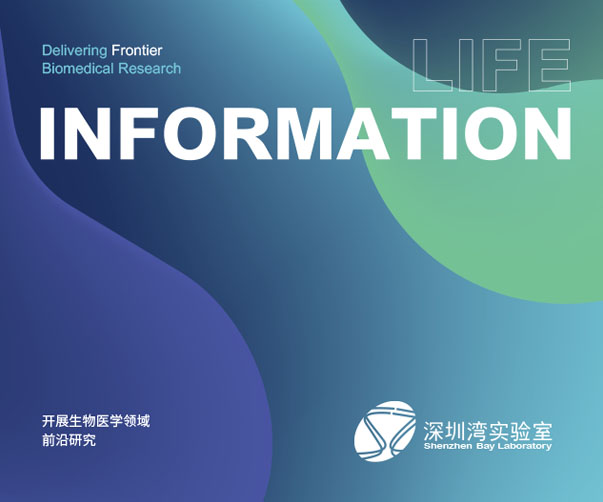 品牌創(chuàng)新與設(shè)計(jì)的力量：從Clrly到Eiliosa與MaX的轉(zhuǎn)型之旅