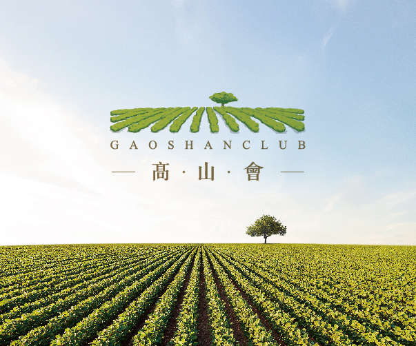 廣州VI設計公司逐步發展的路徑與策略